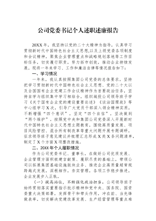 公司党委书记个人述职述廉报告.docx