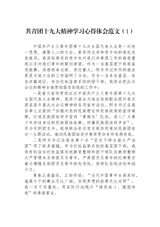 共青团十九大精神学习心得体会范文（4篇）.docx