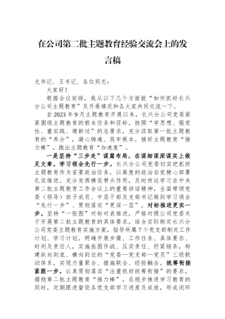 在公司第二批主题教育经验交流会上的发言稿.docx