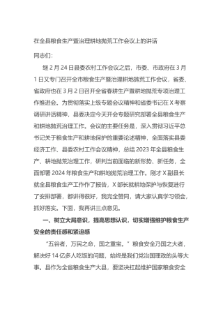 在全县粮食生产暨治理耕地抛荒工作会议上的讲话.docx