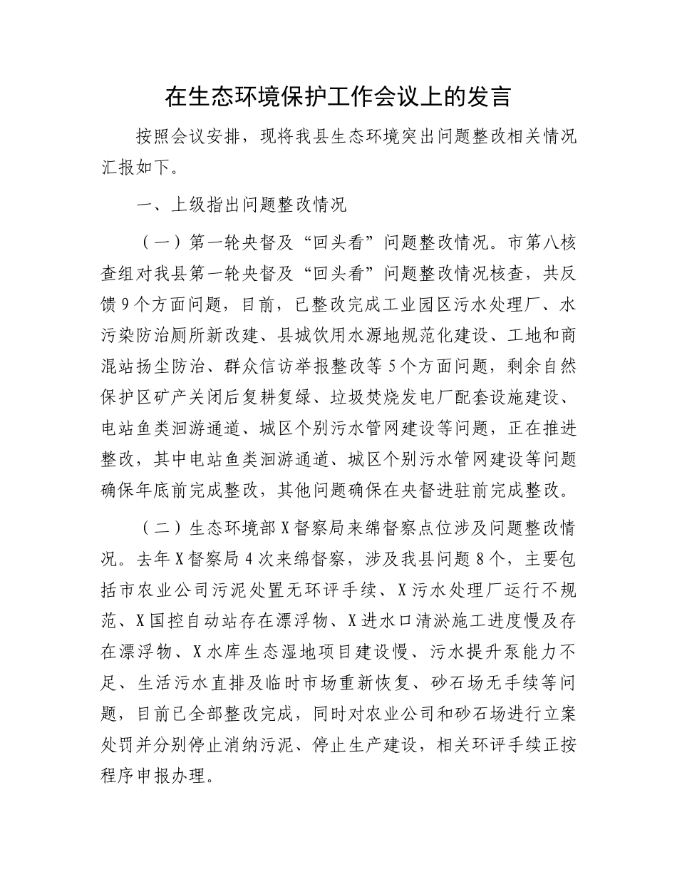 在生态环境保护工作会议上的发言.docx_第1页