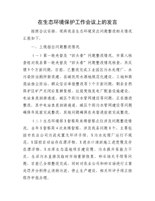 在生态环境保护工作会议上的发言.docx