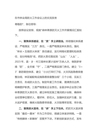 在市林业局防火工作会议上的交流发言.docx