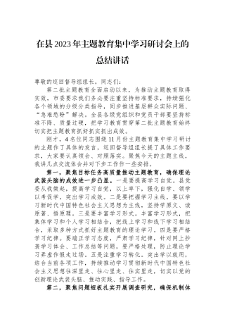 在县2023年主题教育集中学习研讨会上的总结讲话.docx