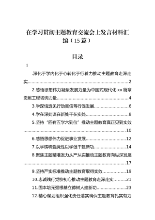 在学习贯彻主题教育交流会上发言材料汇编（15篇）.docx