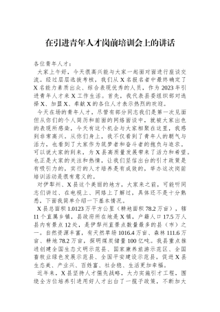 在引进青年人才岗前培训会上的讲话.docx