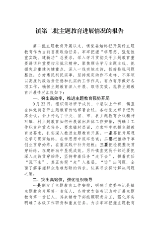 镇第二批主题教育进展情况的报告.docx