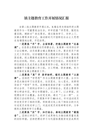镇主题教育工作开展情况汇报.docx
