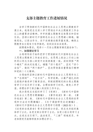 支部主题教育工作进展情况.docx