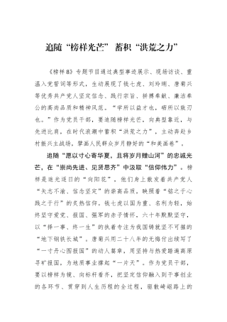 追随“榜样光芒” 蓄积“洪荒之力”.docx