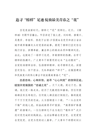 追寻“榜样”足迹 绽放最美青春之“花”.docx
