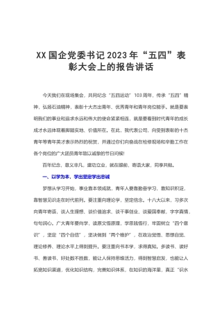 XX国企党委书记2023年“五四”表彰大会报告讲话.docx