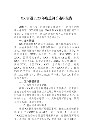 XX街道2023年度总河长述职报告.docx