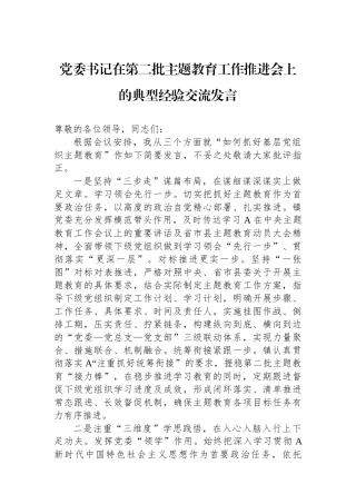 党委书记在第二批主题教育工作推进会上的典型经验交流发言.docx