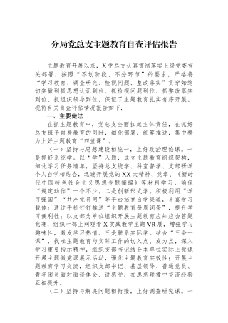 分局党总支主题教育自查评估报告.docx