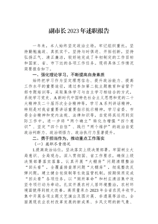 副市长2023年述职报告.docx