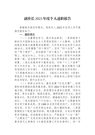 副乡长2023年度个人述职报告.docx