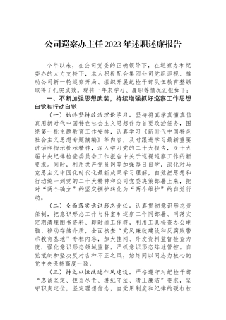 公司巡察办主任2023年述职述廉报告.docx