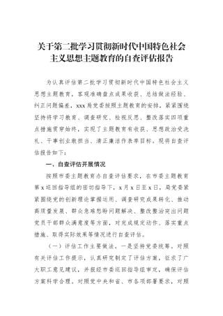 关于第二批学习贯彻新时代中国特色社会主义思想主题教育的自查评估报告.docx