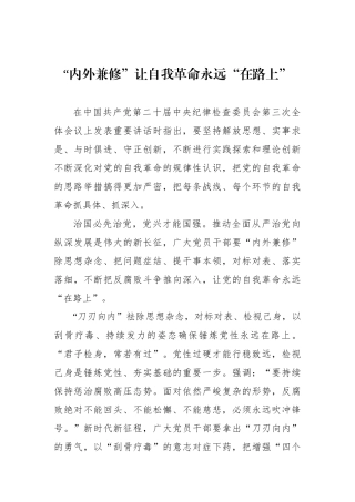 “内外兼修”让自我革命永远“在路上”.docx