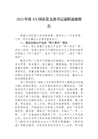 2023年度XX国企党支部书记述职述廉报告.docx