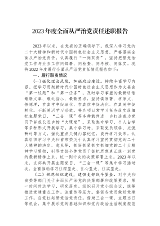 2023年度全面从严治党责任述职报告.docx