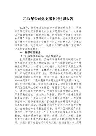 2023年公司党支部书记述职报告.docx