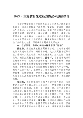 2023年主题教育先进经验做法和总结报告.docx