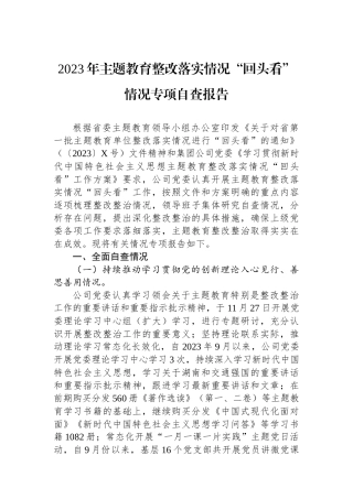 2023年主题教育整改落实情况“回头看”情况专项自查报告.docx