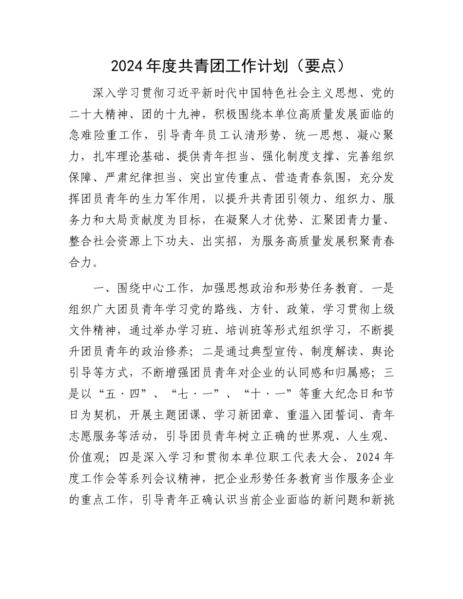 2024年度共青团工作计划（要点）.docx_第1页