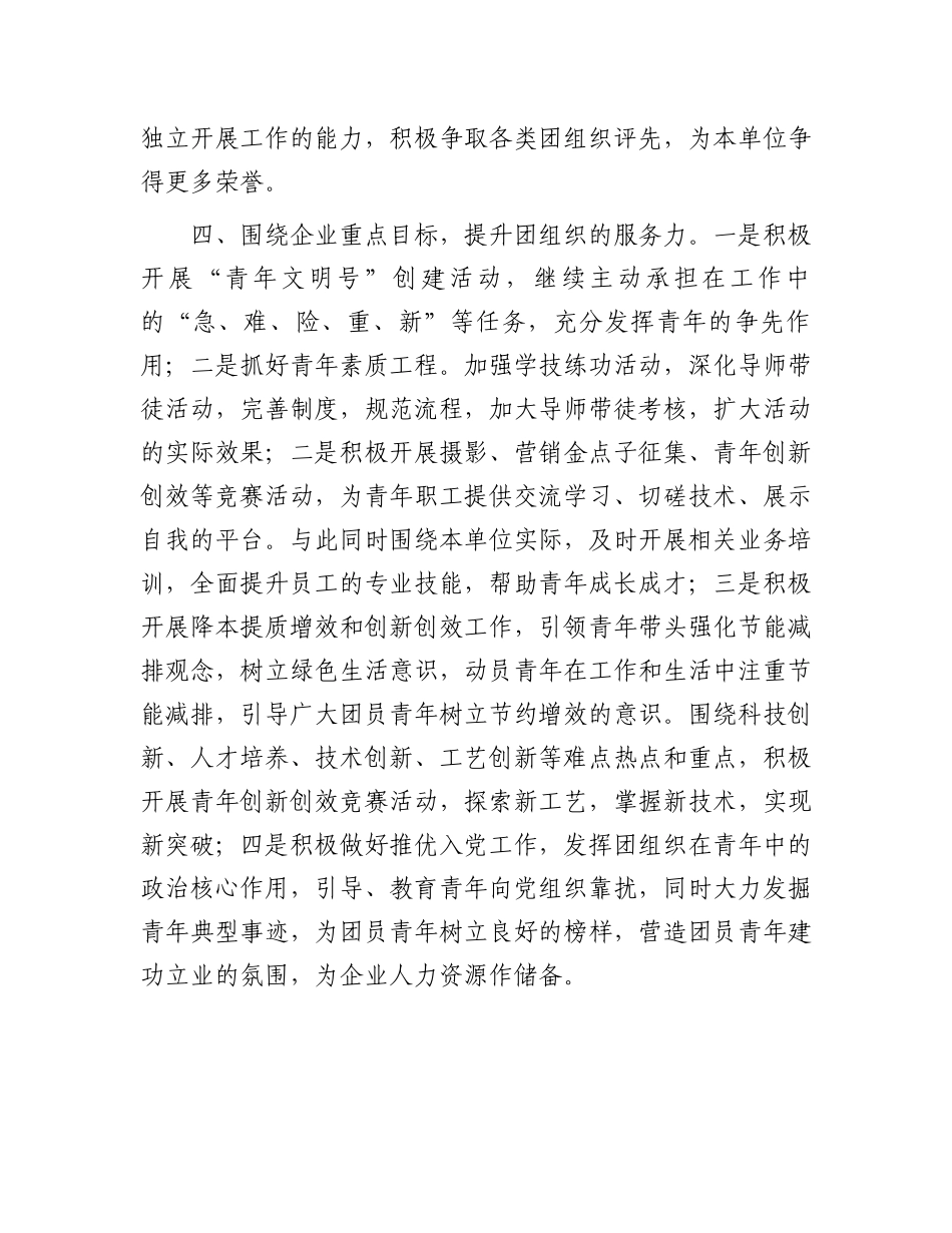 2024年度共青团工作计划（要点）.docx_第3页