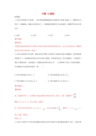 十年高考物理真题分类汇编 专题12 磁场（含解斩）-人教版高三全册物理试题.doc