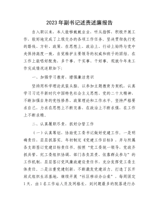 2023年副书记述责述廉报告.docx