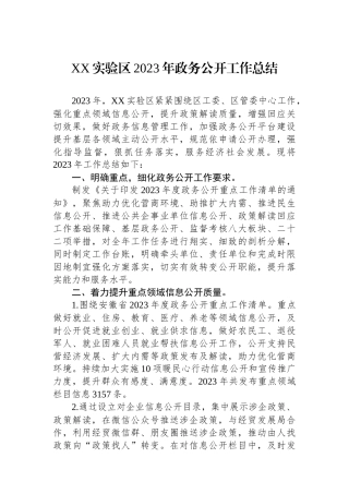 XX实验区2023年政务公开工作总结.docx
