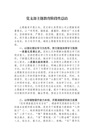 党支部主题教育阶段性总结.docx