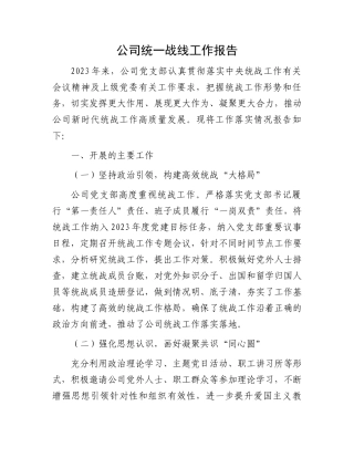 公司统一战线工作报告.docx
