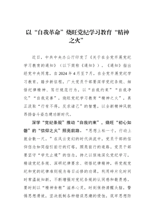 以“自我革命”烧旺党纪学习教育“精神之火”.docx