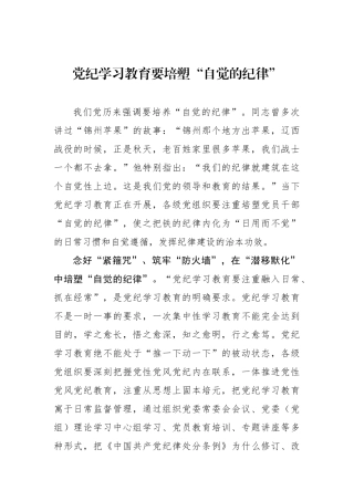 党纪学习教育要培塑“自觉的纪律”.docx