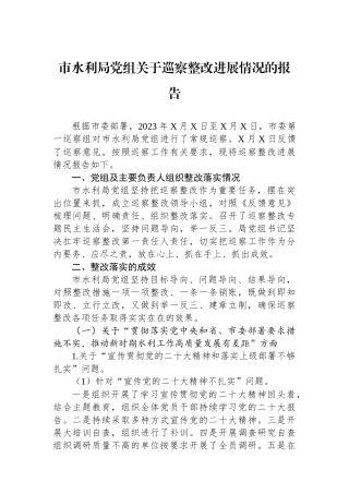 市水利局党组关于巡察整改进展情况的报告.docx