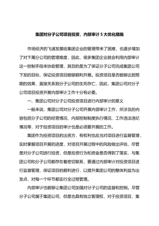 集团对分子公司项目投资，内部审计5大优化措施.docx