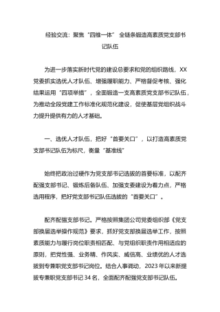 经验交流：聚焦“四维一体” 全链条锻造高素质党支部书记队伍.docx