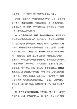 经验做法：“三个着力”抓细抓实村级干部队伍建设.docx