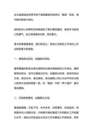 “蹲苗”干部任前培训座谈会发言.docx