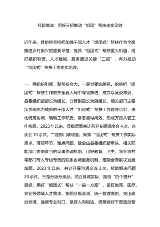 经验做法：用好三招推动“组团”帮扶走实见效.docx