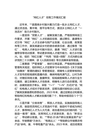 “网红人才”培育工作情况汇报.docx