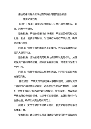 廉洁纪律和群众纪律方面存在的问题及整改措施.docx