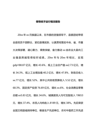 领导班子运行工作报告.docx