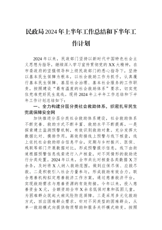 民政局2024年上半年工作总结和下半年工作计划.docx