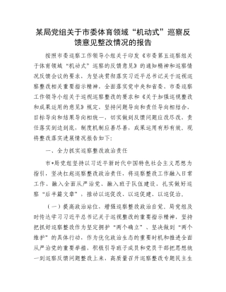 某局党组关于市委体育领域“机动式”巡察反馈意见整改情况的报告.docx