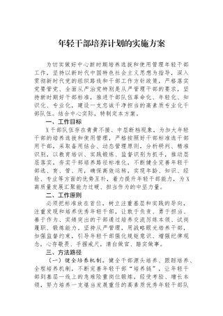 年轻干部培养计划的实施方案.docx